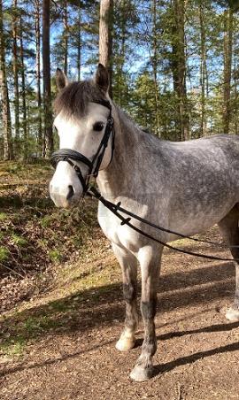 Profilbild