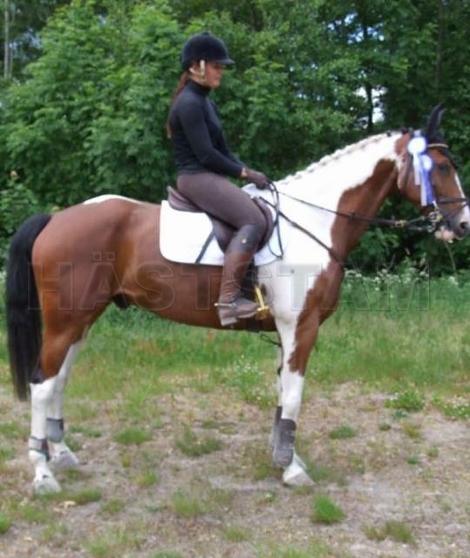 Profilbild