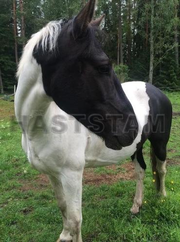 Profilbild