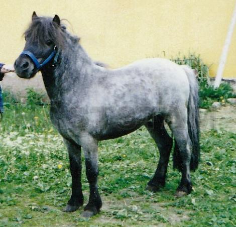 Profilbild
