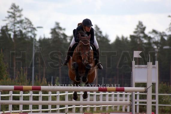 Profilbild