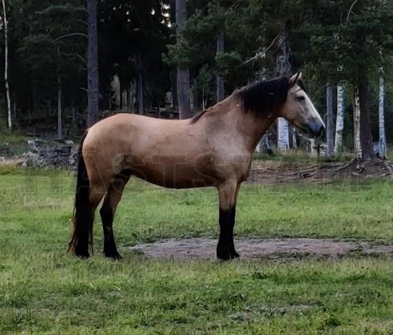 Profilbild