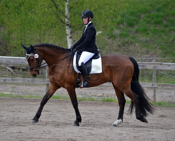 Profilbild