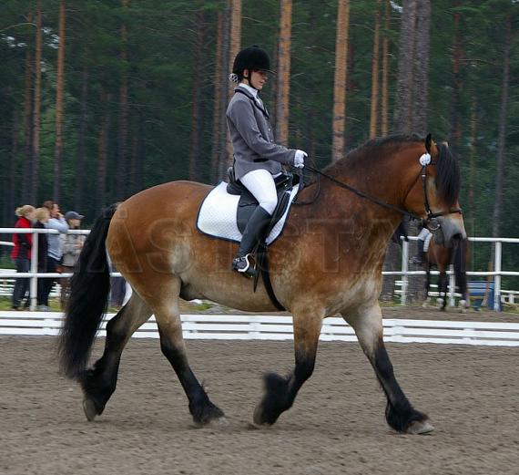 Profilbild
