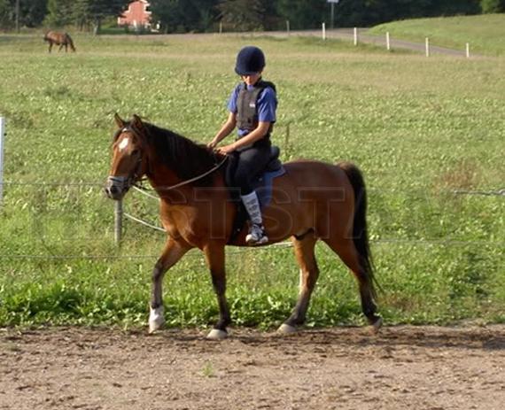 Profilbild