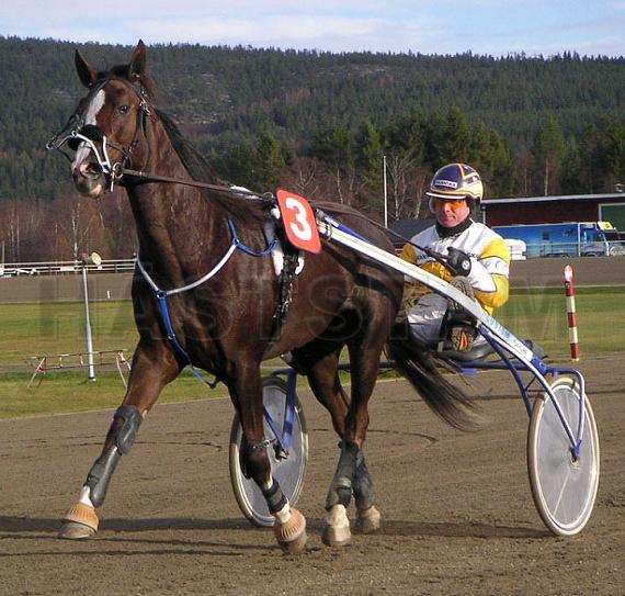 Profilbild