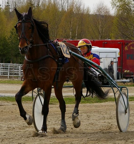 Profilbild