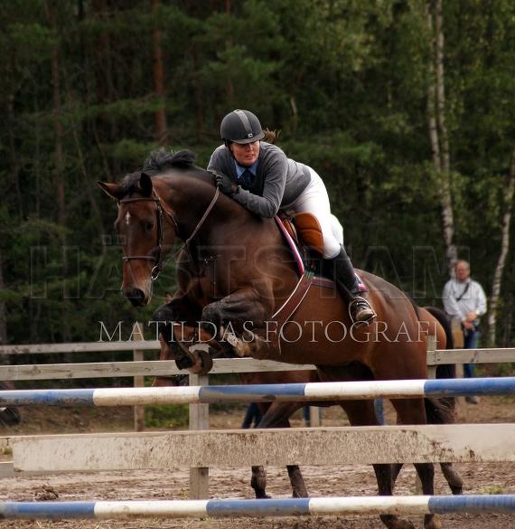 Profilbild