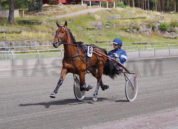 Profilbild