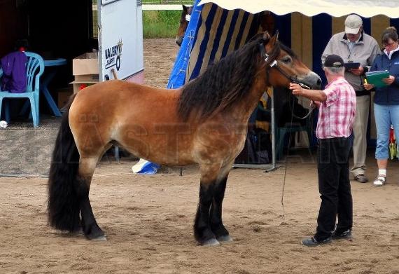 Profilbild