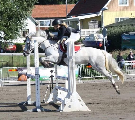 Profilbild