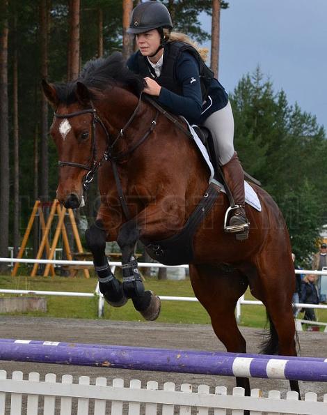 Profilbild