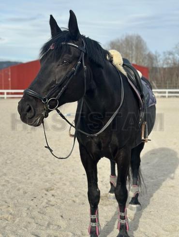 Profilbild
