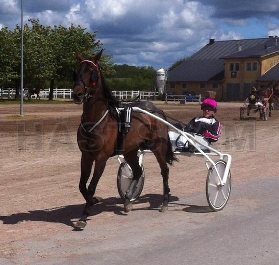 Profilbild