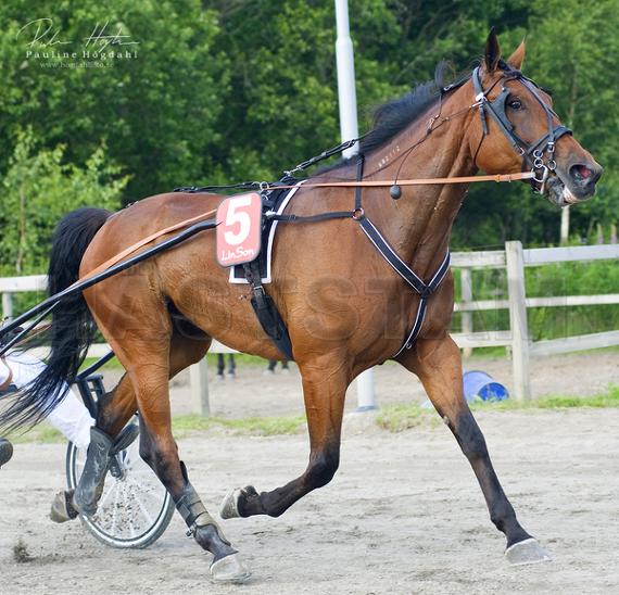 Profilbild