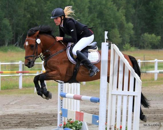 Profilbild