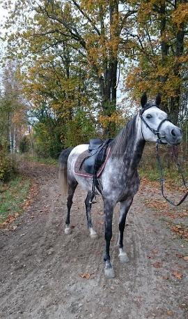 Profilbild