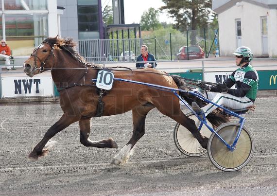 Profilbild