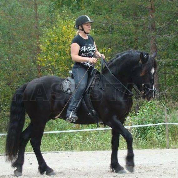 Profilbild
