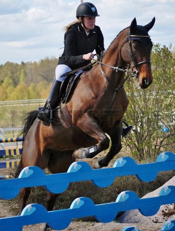 Profilbild