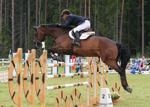 Profilbild