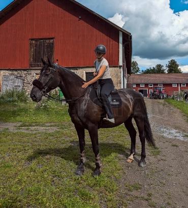 Profilbild