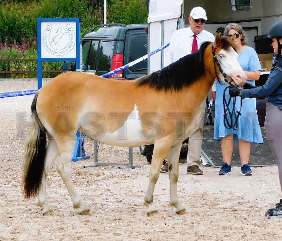 Profilbild