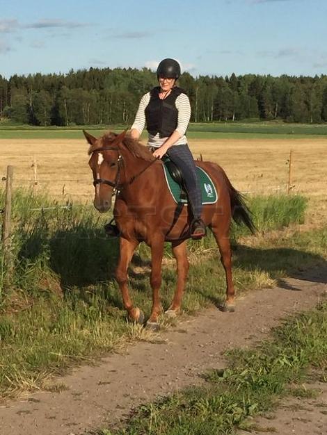 Profilbild