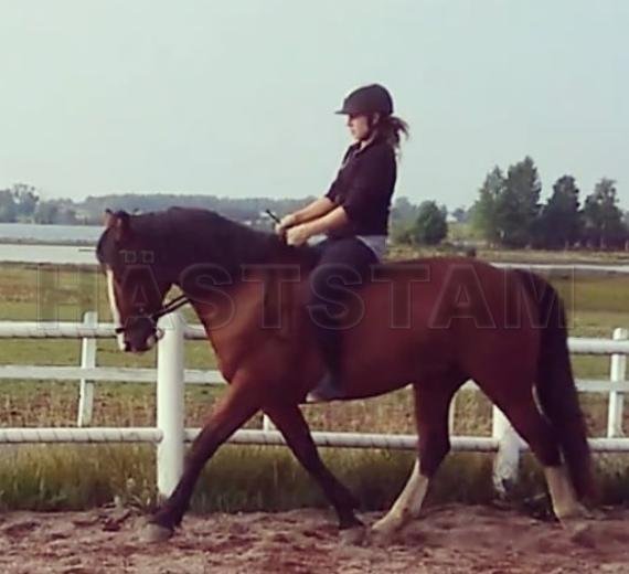 Profilbild