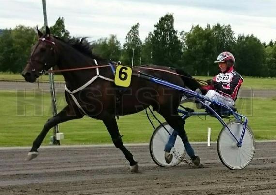 Profilbild