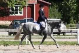Profilbild