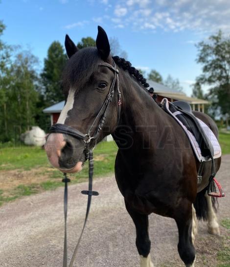 Profilbild