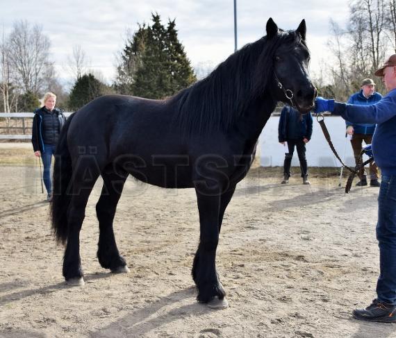 Profilbild