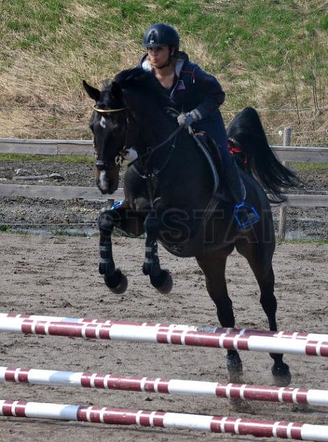 Profilbild