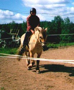 Profilbild