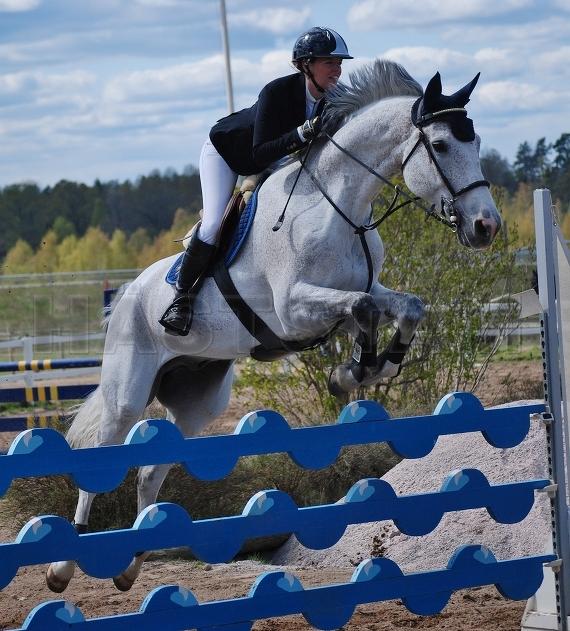 Profilbild