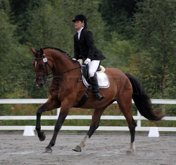 Profilbild