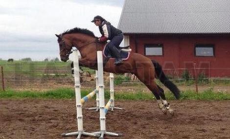 Profilbild