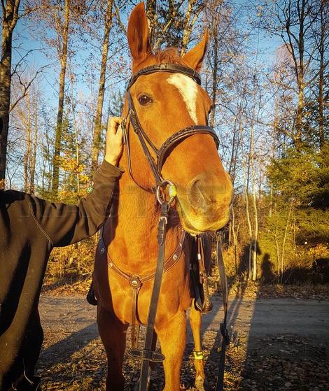 Profilbild