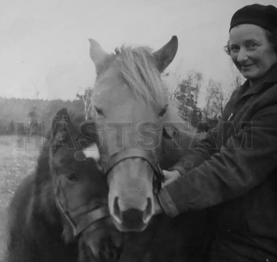 Profilbild