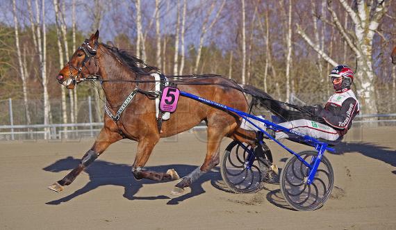 Profilbild