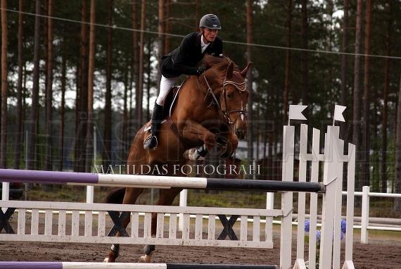 Profilbild