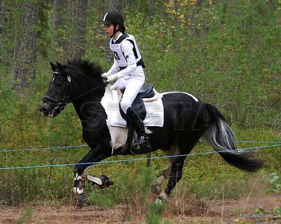 Profilbild