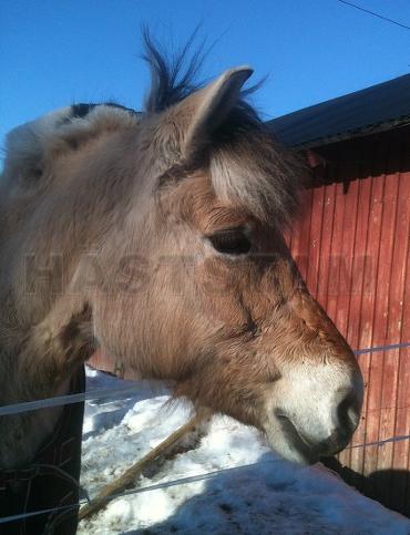 Profilbild
