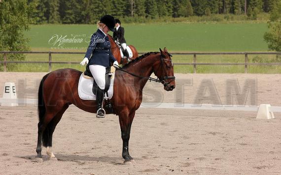 Profilbild
