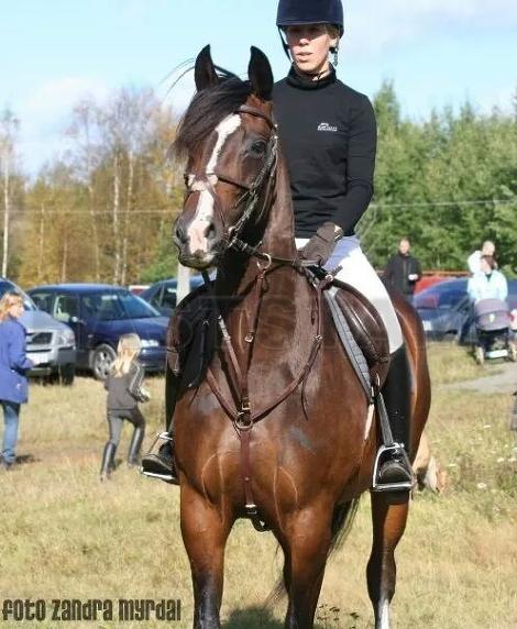 Profilbild