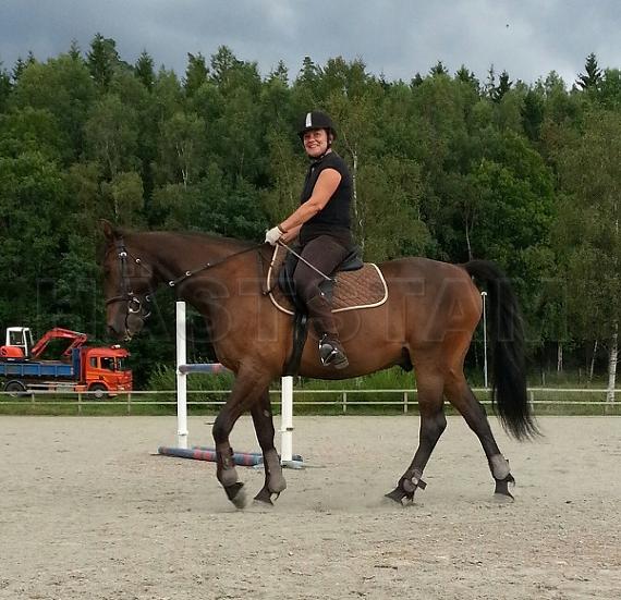 Profilbild