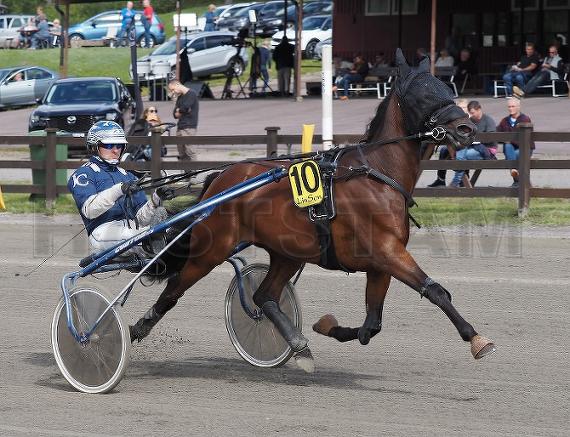 Profilbild