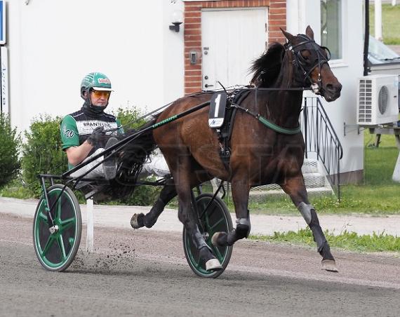 Profilbild