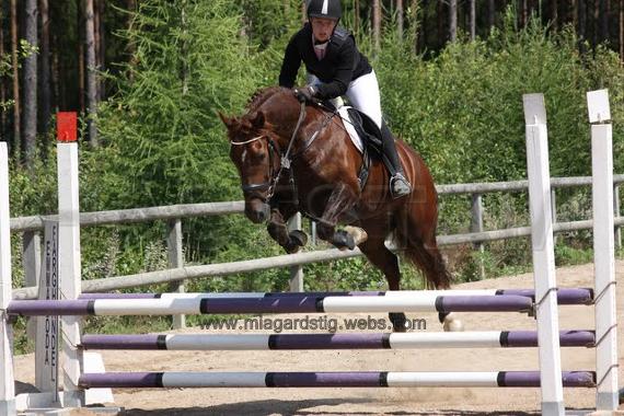 Profilbild